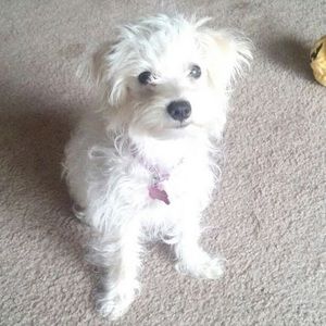 Meet your Posher, Patricia